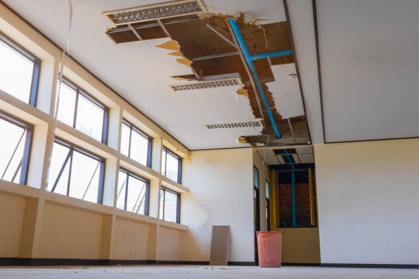 Best Professional water damage repair  in Hudson, CO