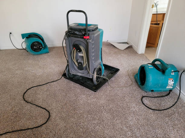 Best Water damage restoration near me  in Hudson, CO