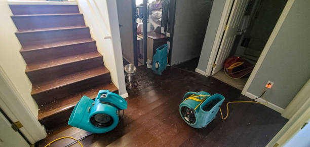 Best 24-hour water damage restoration  in Hudson, CO