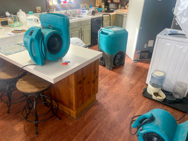 Best Water damage cleanup near me  in Hudson, CO