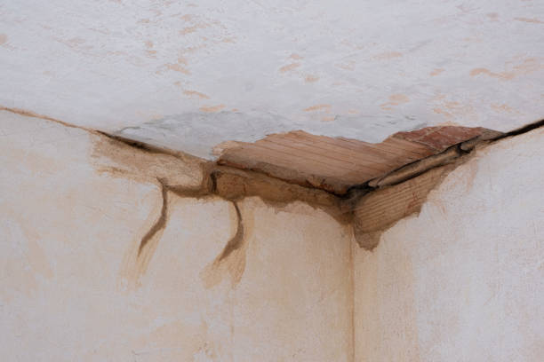 Best Basement water damage restoration  in Hudson, CO