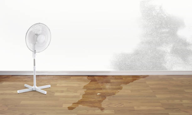 Best Sewage cleanup and water damage restoration  in Hudson, CO