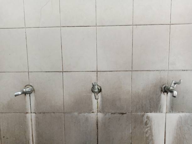 Best 24/7 water damage repair  in Hudson, CO