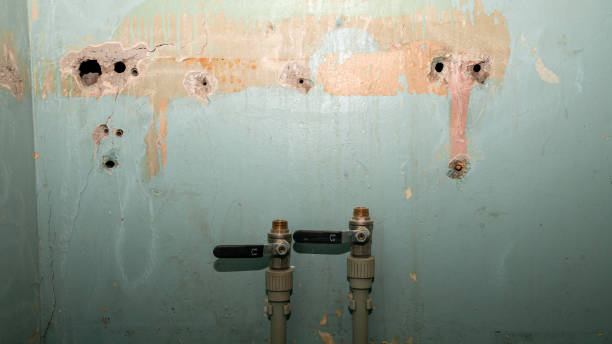 Best Flooded house restoration  in Hudson, CO