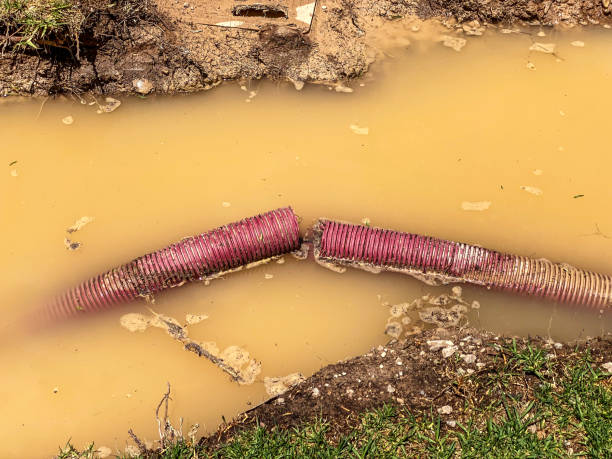 Best Carpet water damage restoration  in Hudson, CO